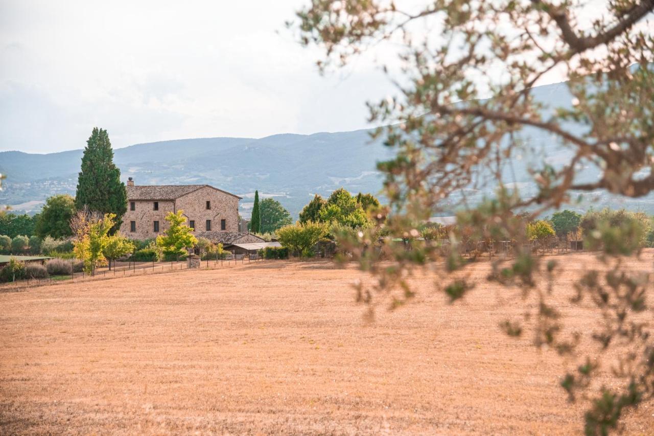 Hostal San Carlo A La Molinella Città della Pieve Exterior foto